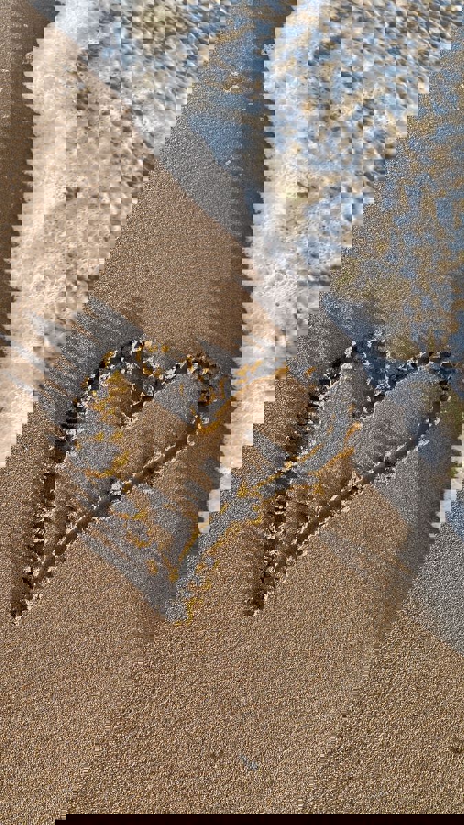 Sevgi olmadan yaşanır mı?